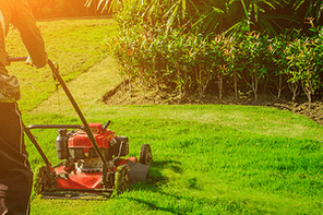 Lawn mower cutting green grass in backyard,Garden service,grass cutter cutting green lawns.Gardener mowing with lawnmower