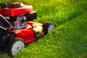 Lawn mower.