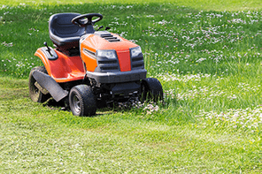 Lawn mower and cut green grass