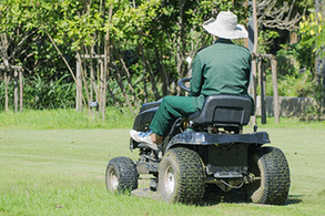 Ride-on lawn mower cutting grass.